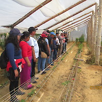VIVERO DE HORTALISAS PARA SEGURIDAD ALIMENTARIA