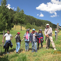 REFORESTACION, 11,000 HA REFORESTADAS