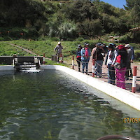 PRODUCCION DE TRUCHAS