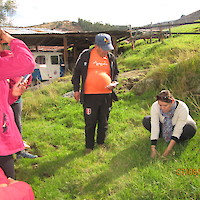EVALUACION DE PASTURAS PARA ALIMENTACION DE VACUNOS Y OVINOS
